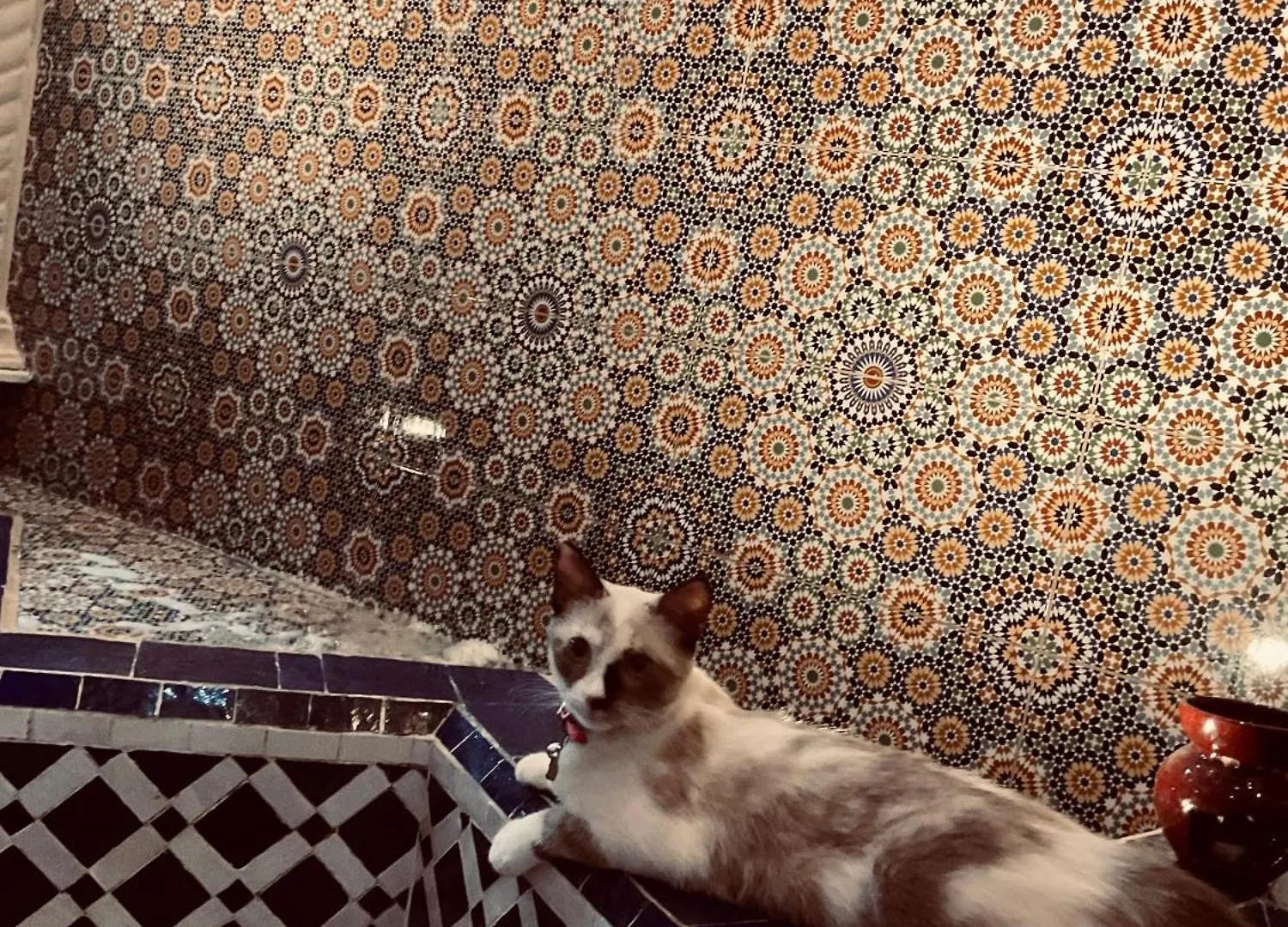 Riad Lalla Merieme مراكش